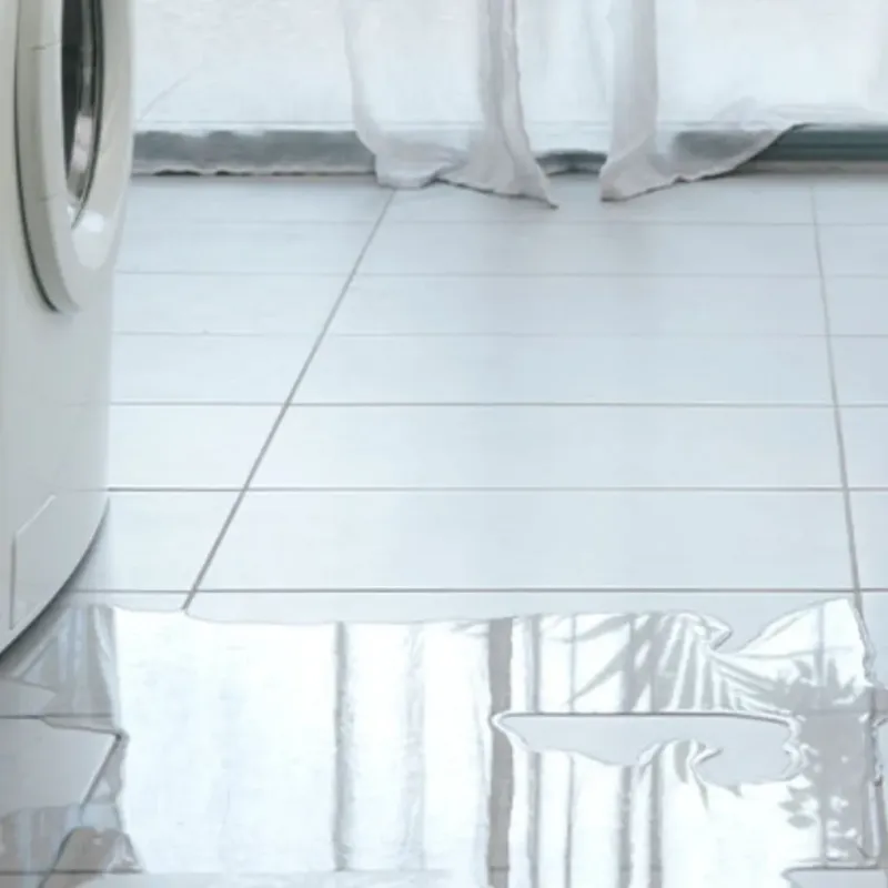 Appliance Leak Cleanup in Wattsville, VA