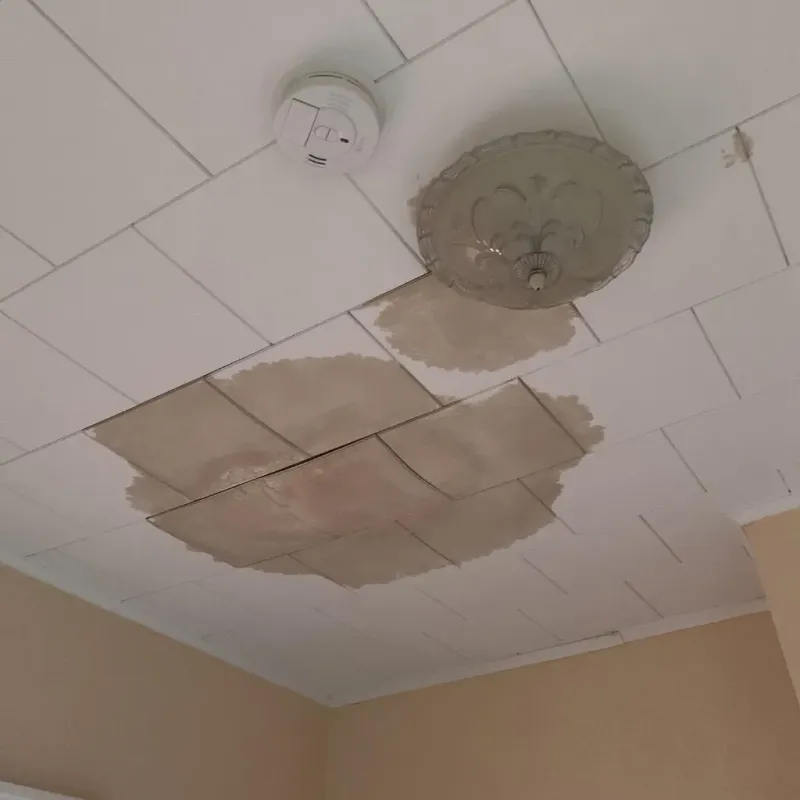 Ceiling Water Damage Repair in Wattsville, VA
