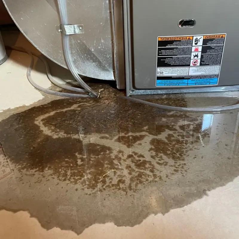 Pipe Burst and Leak Restoration in Wattsville, VA