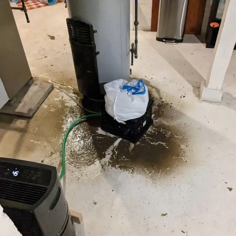 Sewage Backup Cleanup Service in Wattsville, VA